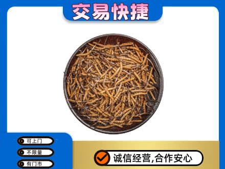 揭阳高价回收散虫草